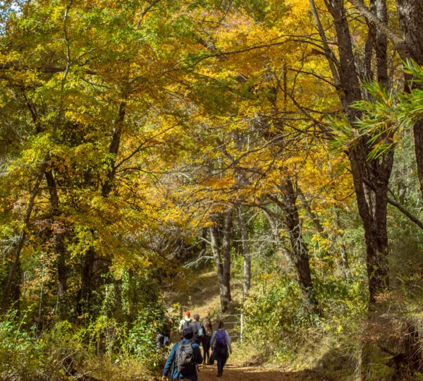 Cumbres de Dañicalqui