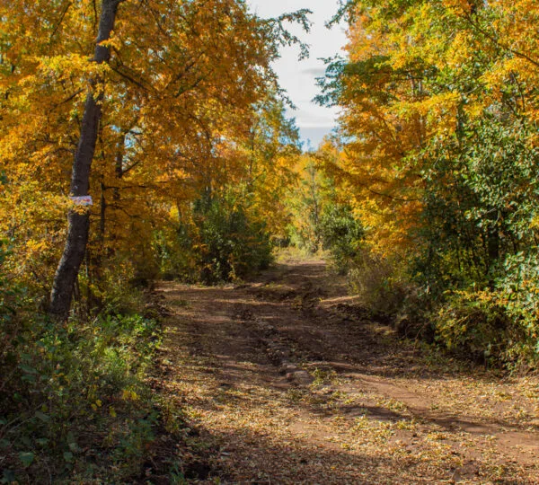 Cumbres de Dañicalqui