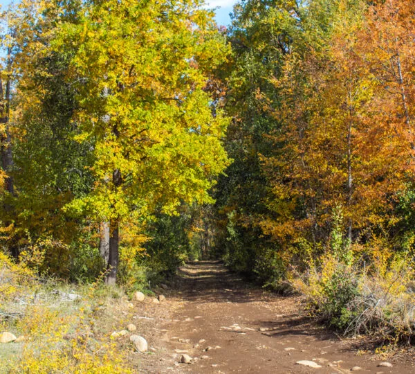 Cumbres de Dañicalqui