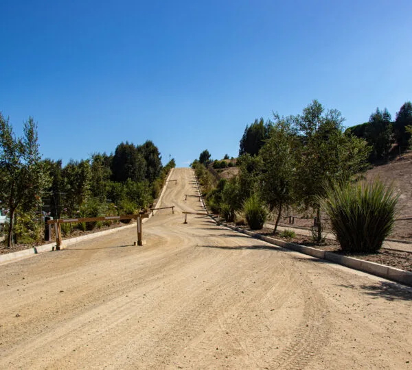 Campo Viejo