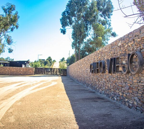 Campo Viejo