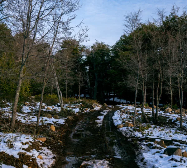 Cumbres de Dañicalqui