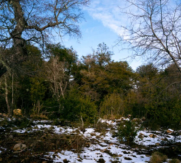 Cumbres de Dañicalqui