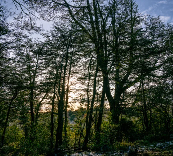Cumbres de Dañicalqui