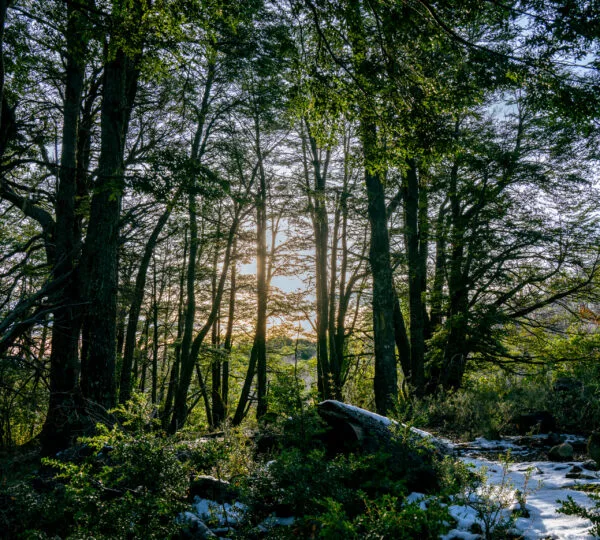 Cumbres de Dañicalqui