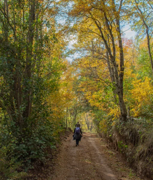 Cumbres de Dañicalqui