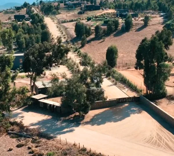 Campo Viejo